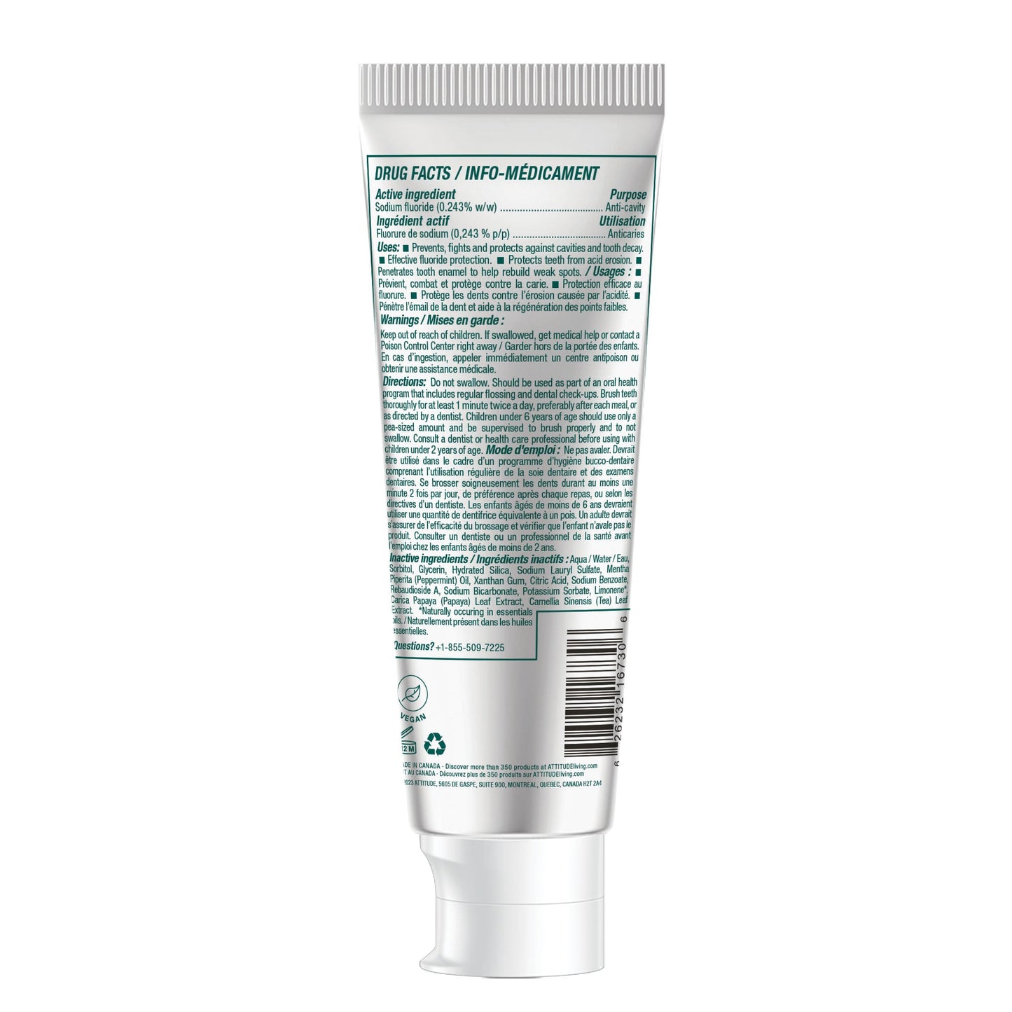 Adult Toothpaste with Fluoride.