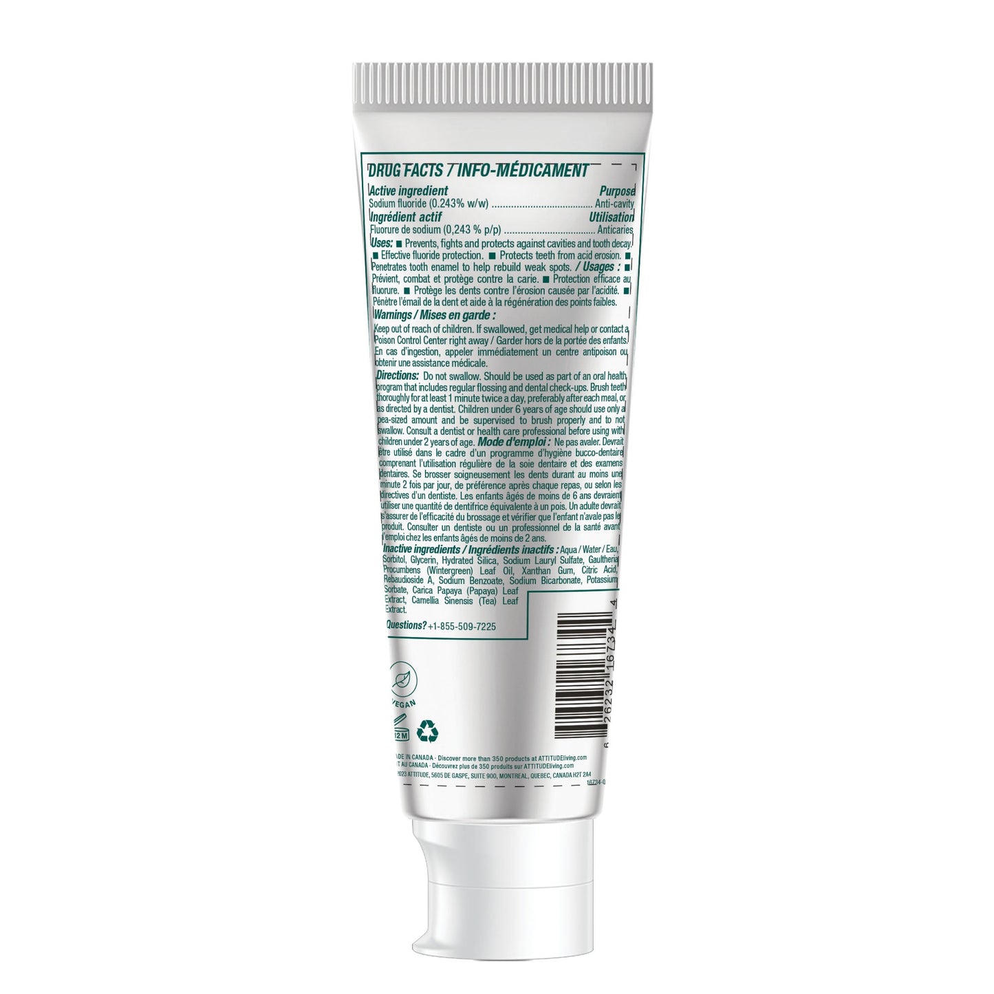 Adult Toothpaste with Fluoride.