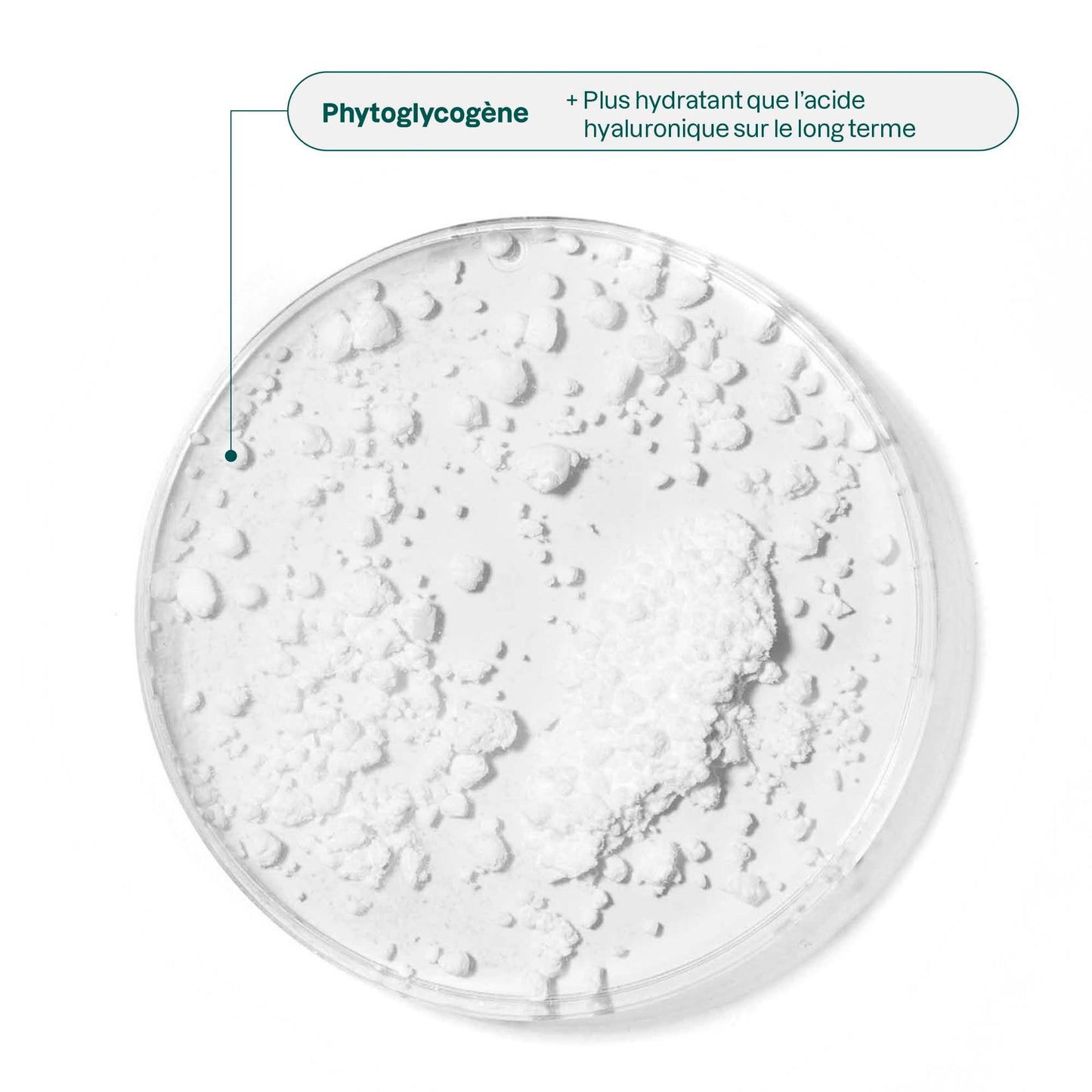 ATTITUDE Oceanly Coffret de maquillage Silky Pink Sans odeur 00152 phytoglycogène_fr?