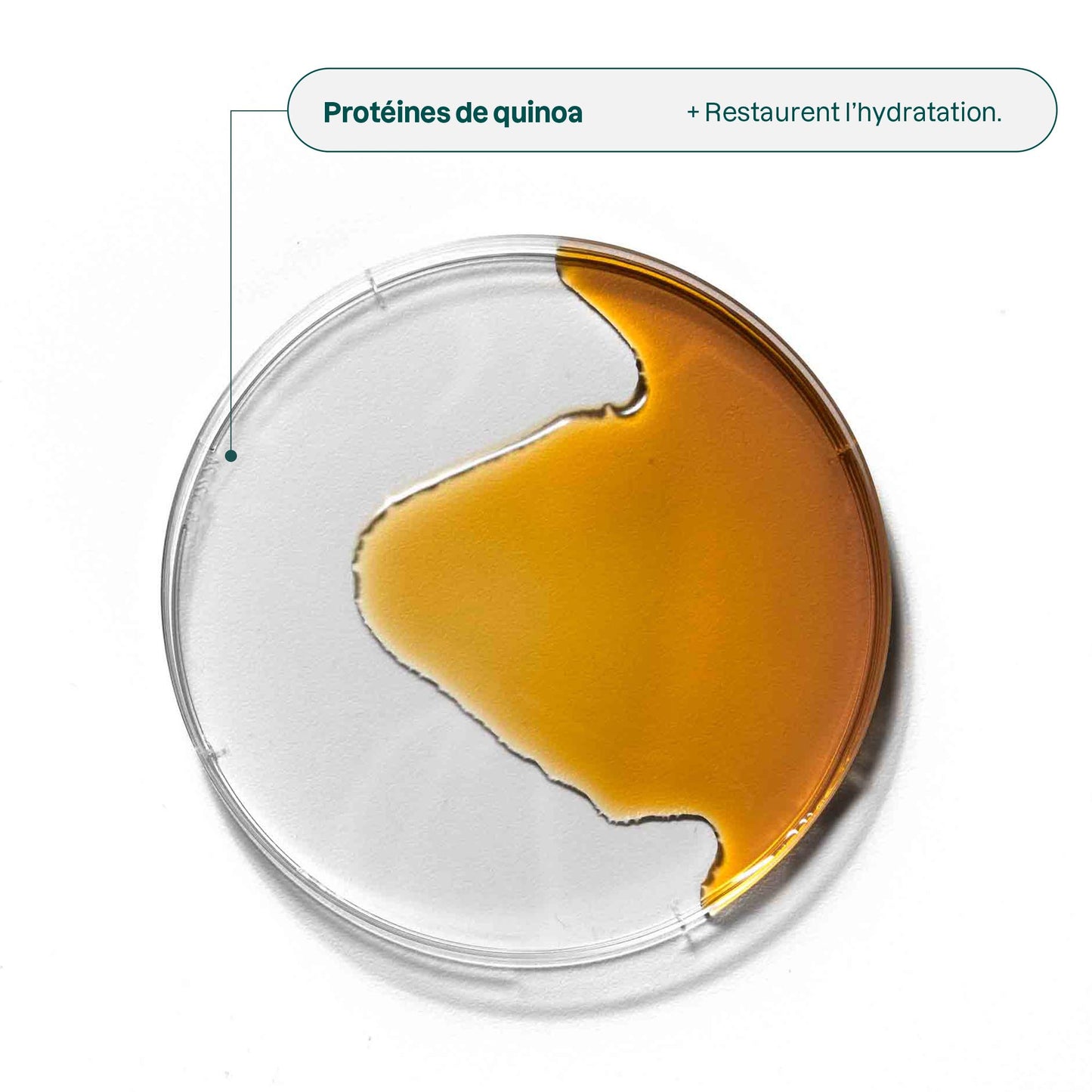 ATTITUDE duo shampoing revitalisant hydratant Menthe poivrée et orange douce huiles essentielles BDL_a130_19104 ingredient_fr?