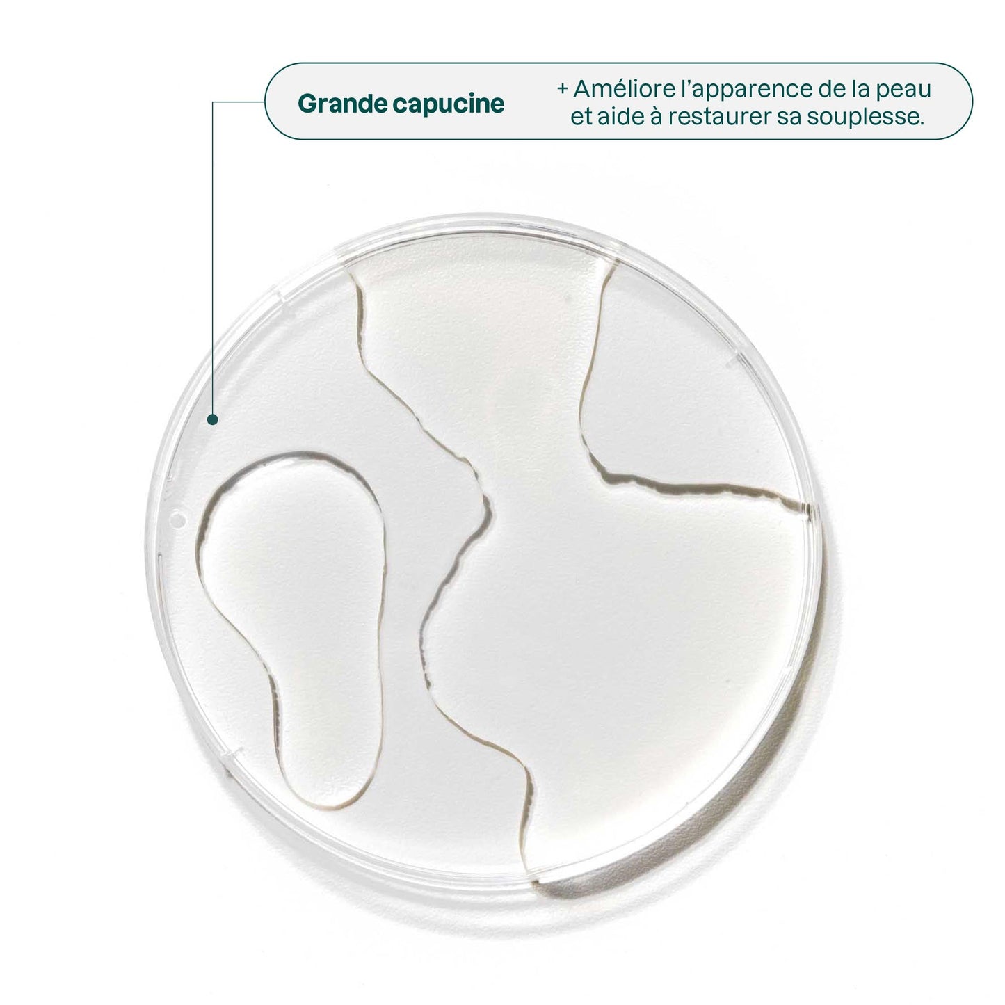 ATTITUDE Super Leaves Essential huile essentielle savon a main ingredient_fr? ALL_VARIANTS