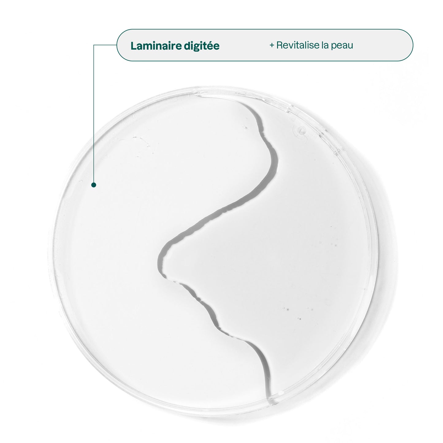 ATTITUDE Nettoyant Visage Solide Peptides Ingrédients Oarweed_fr? ALL VARIANTS