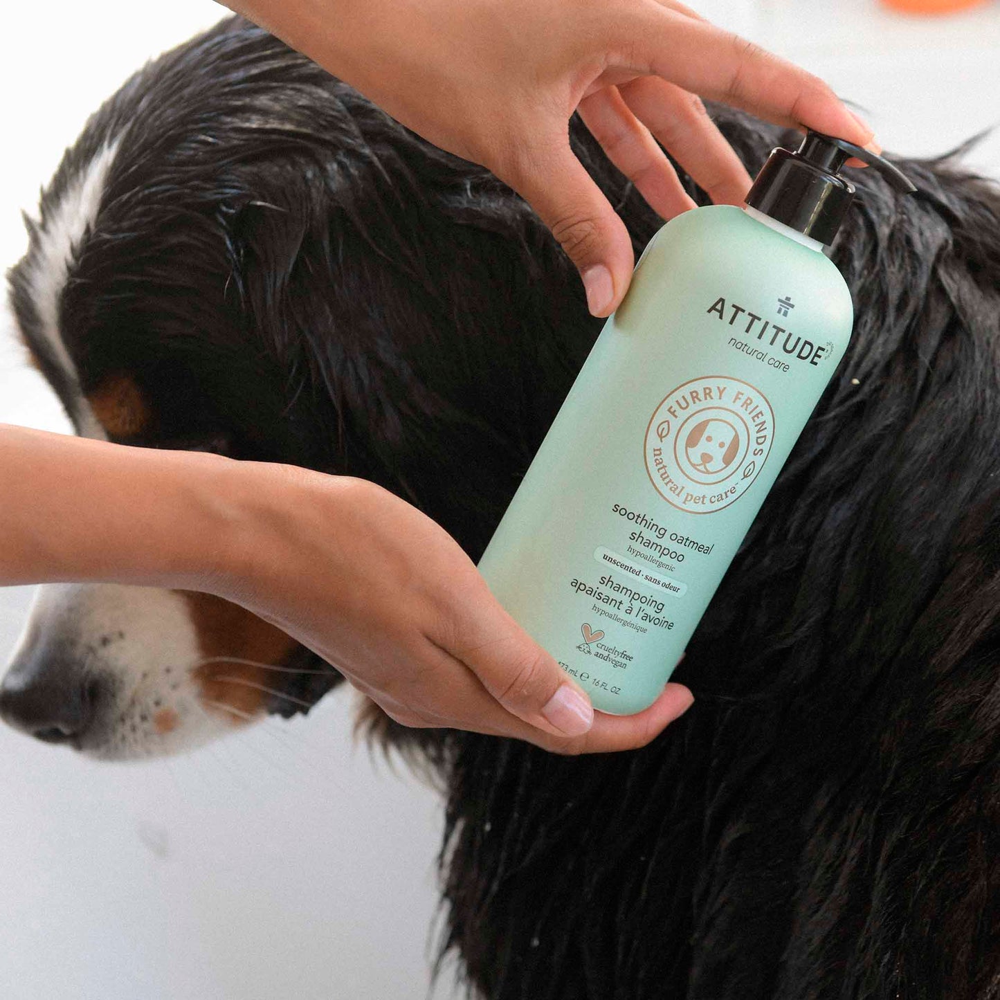 chien avec produits Furry Friends ATTITUDE 81141_fr?_hover?