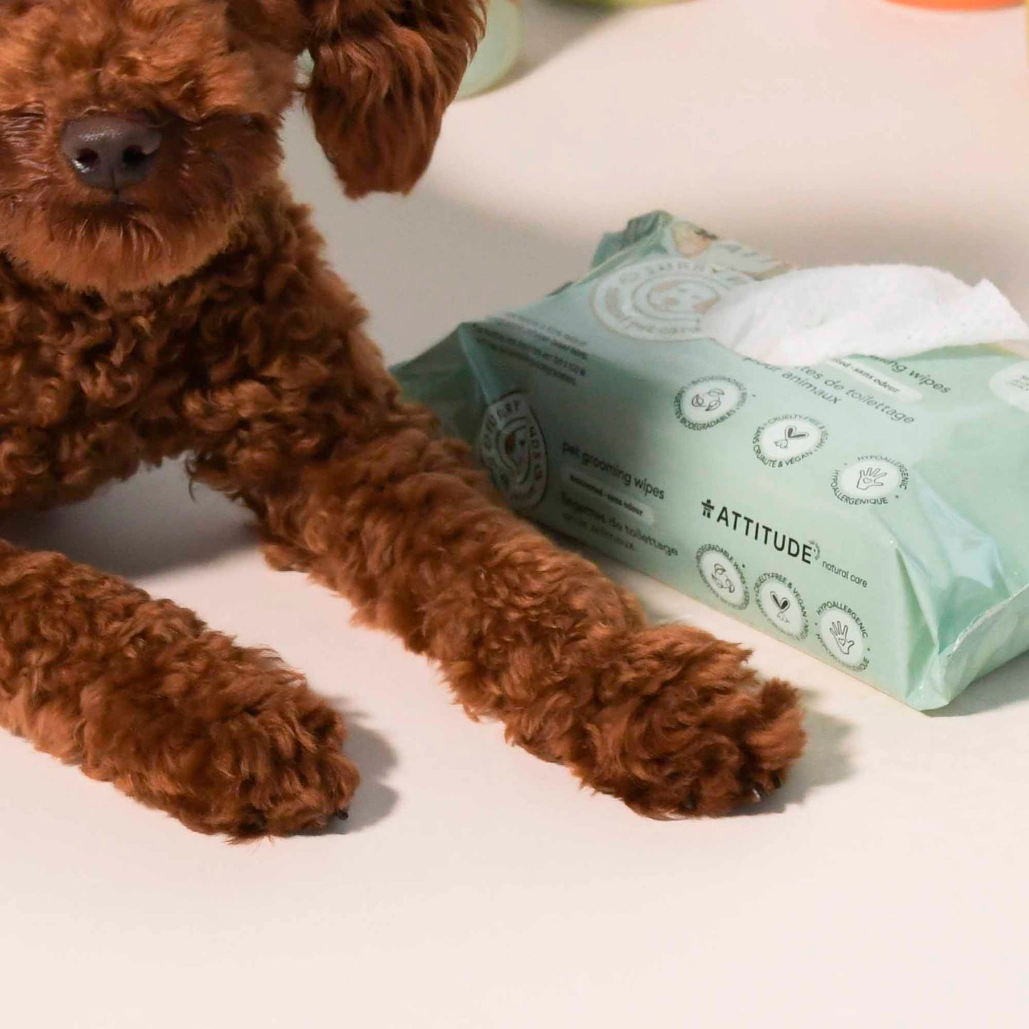 chien avec produits Furry Friends ATTITUDE 81160_fr?_hover?