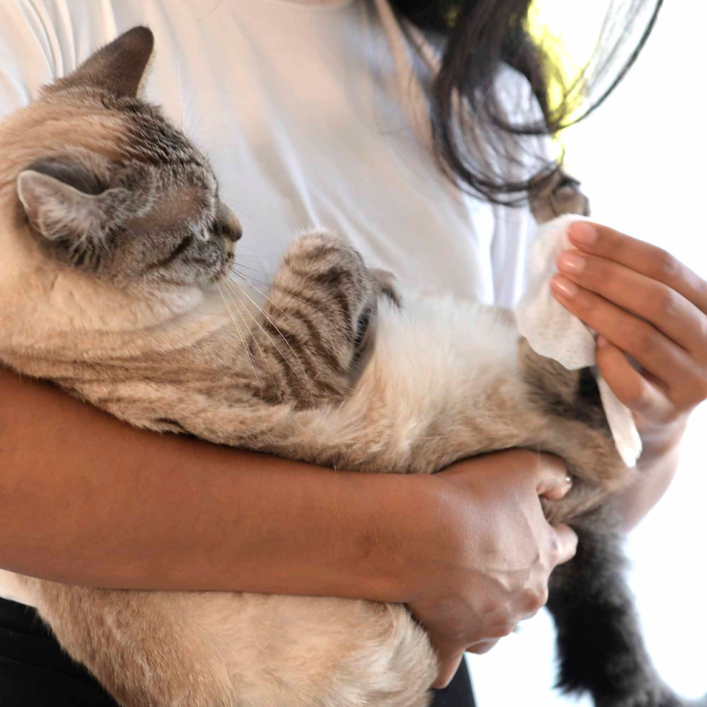 chat avec produits Furry Friends ATTITUDE 81160_fr?