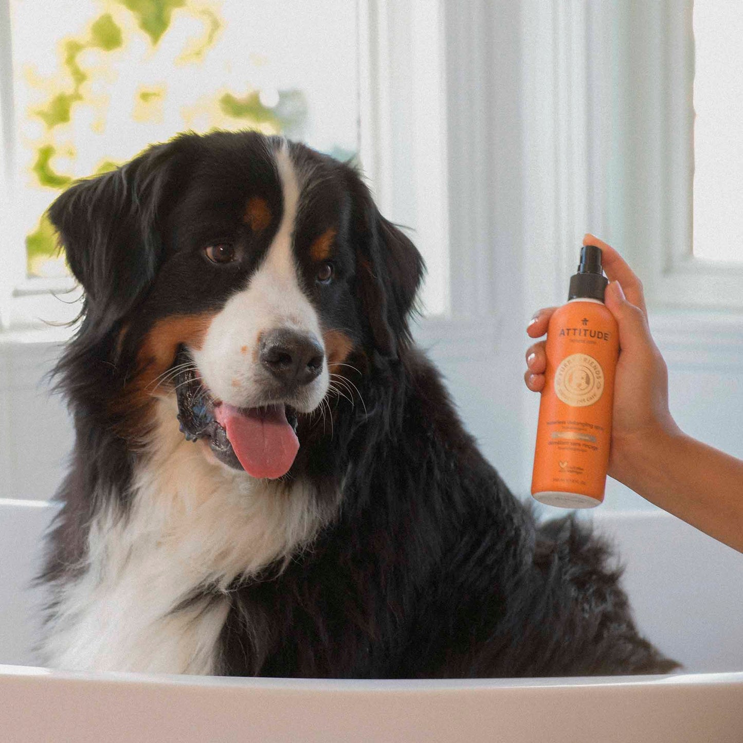 chien avec produits Furry Friends ATTITUDE 81170_fr?_hover?