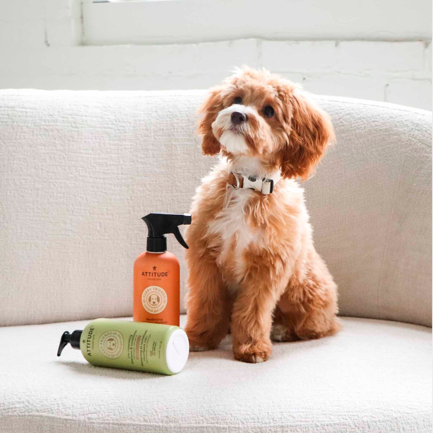 chien avec produits Furry Friends ATTITUDE 81165_fr?_hover? 473 mL