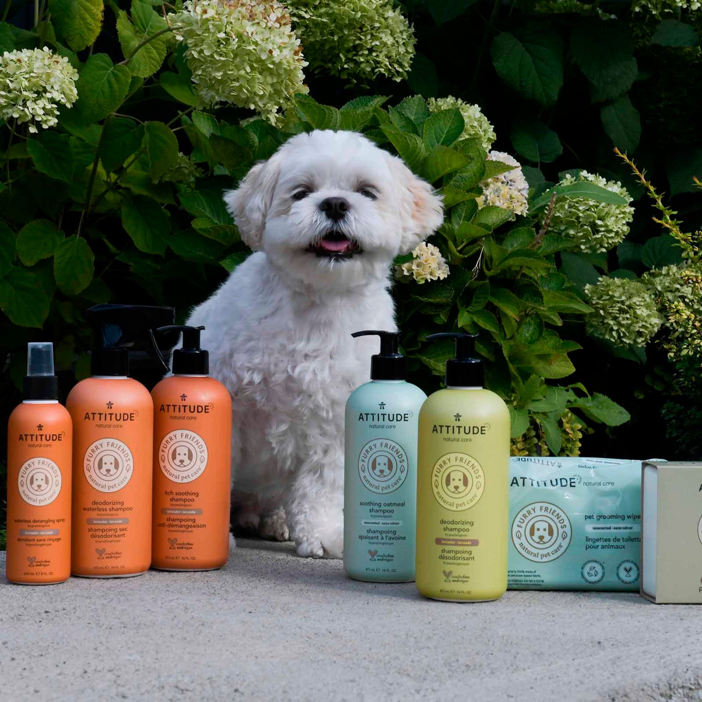 chien avec produits Furry Friends ATTITUDE 81142_fr?_hover? 473 mL