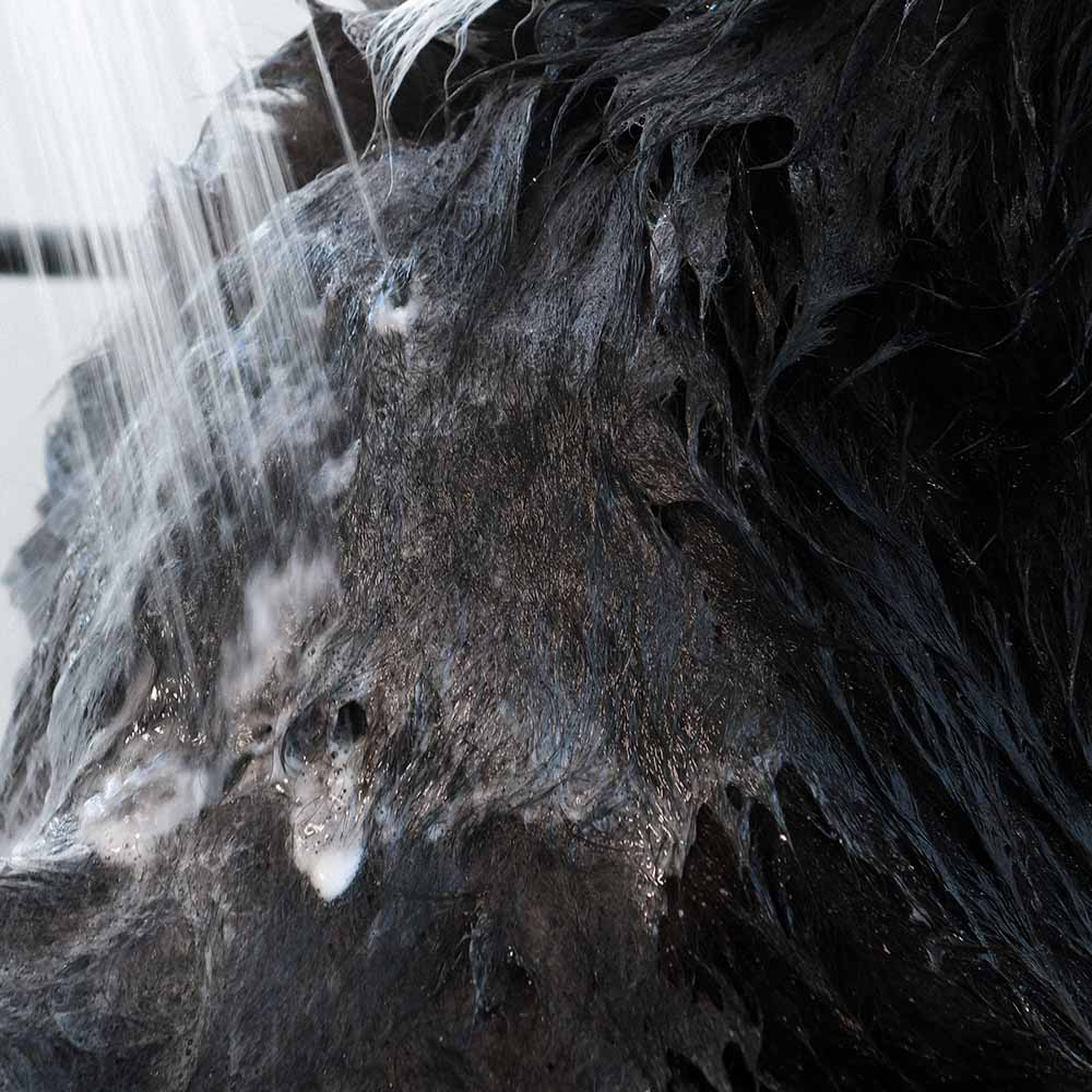 Texture mousse chien avec produits Furry Friends ATTITUDE 81165_fr? 473 mL