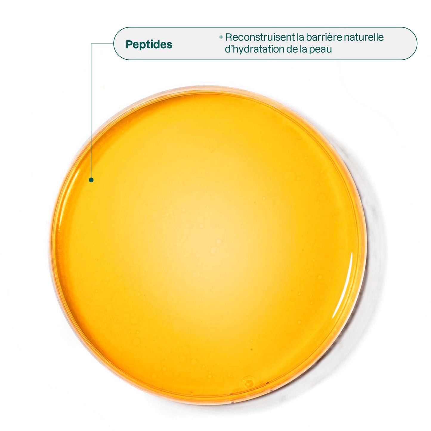 ATTITUDE Crème yeux solide Anti-Âge ingrédient Peptides_fr? ALL VARIANTS