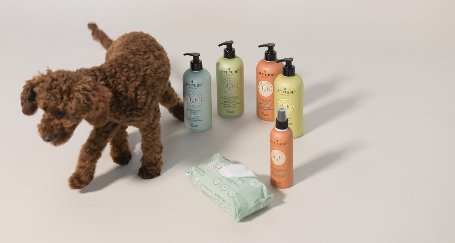 ATTITUDE produit pour les animaux sans cruauté et véganes