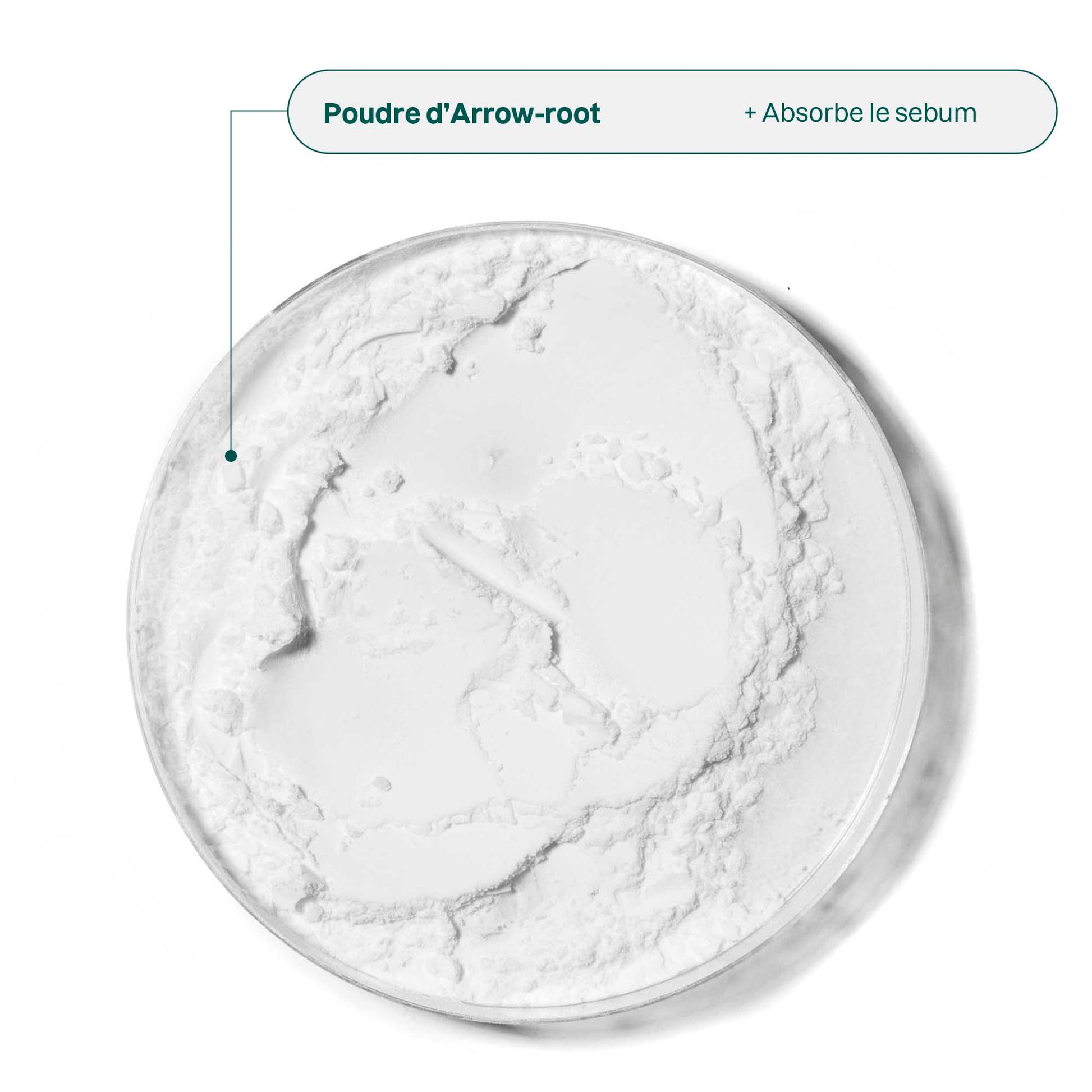 ATTITUDE Crème Visage Solide Matifiante pour Peau Mixte : Oceanly - PHYTO-MATTE Ingrédients Poudre d'arrow-root_fr? ALL VARIANTS