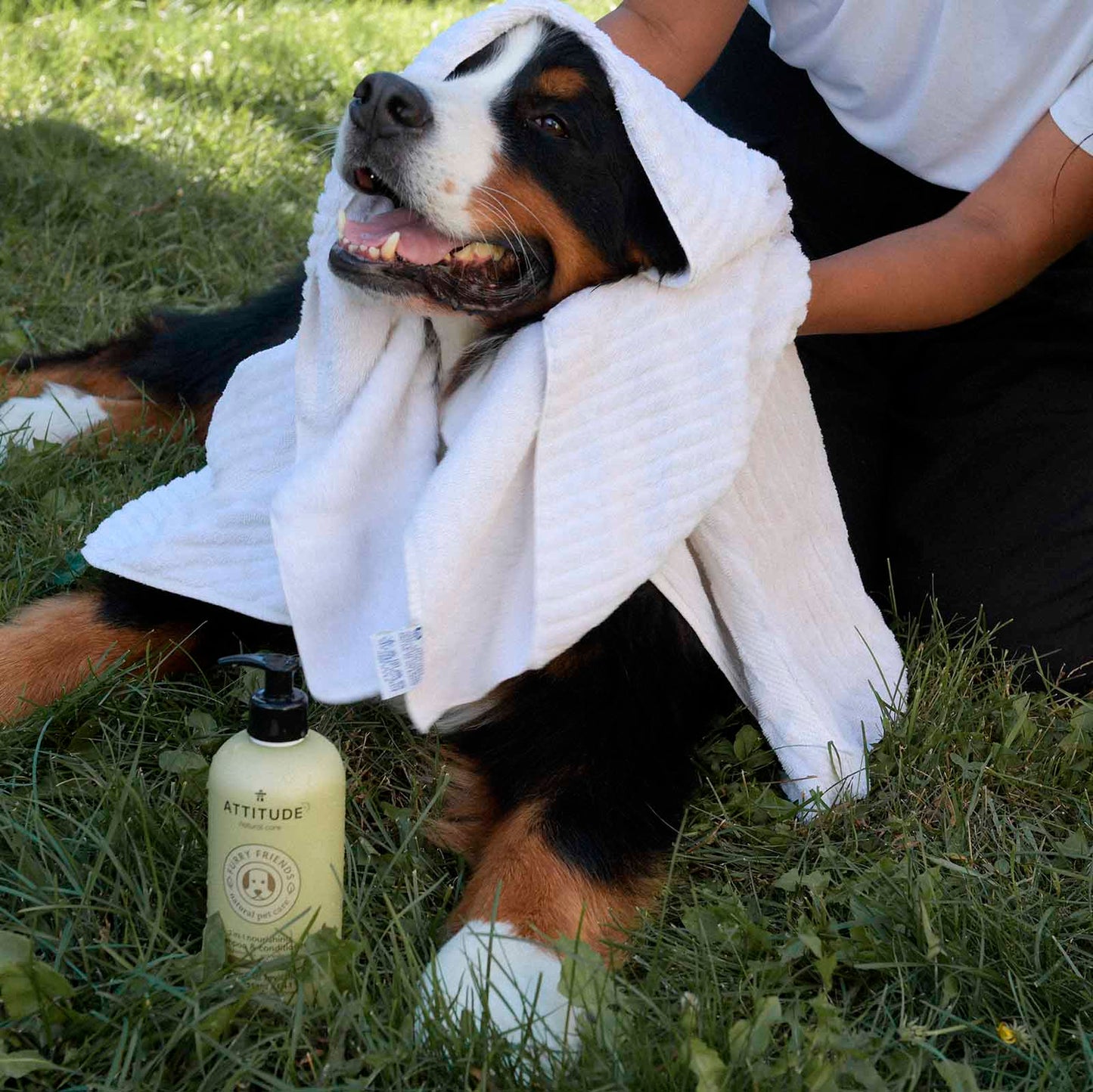 chien avec produits Furry Friends ATTITUDE 81140_fr?
