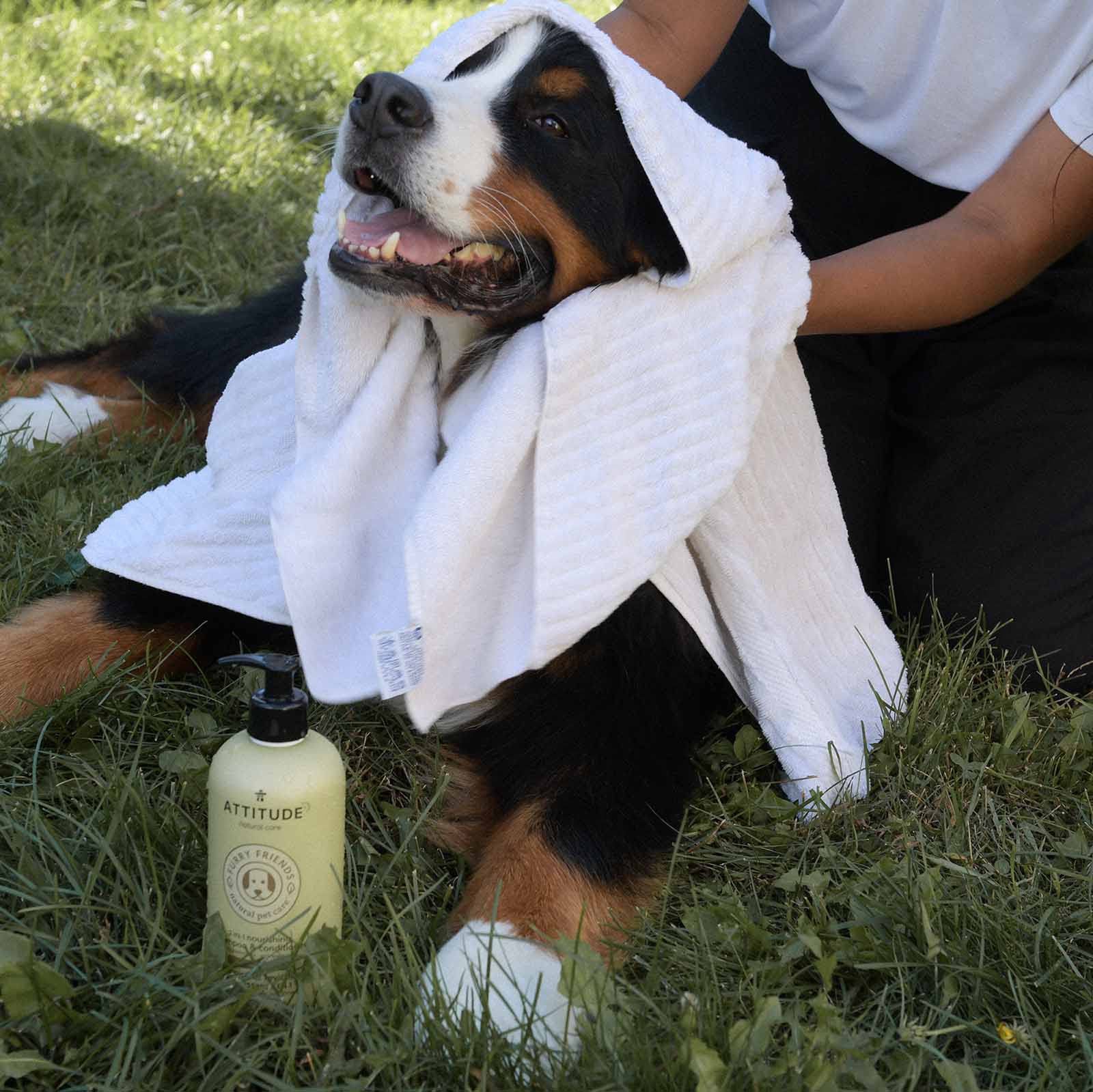 chien avec produits Furry Friends ATTITUDE 81140_fr?