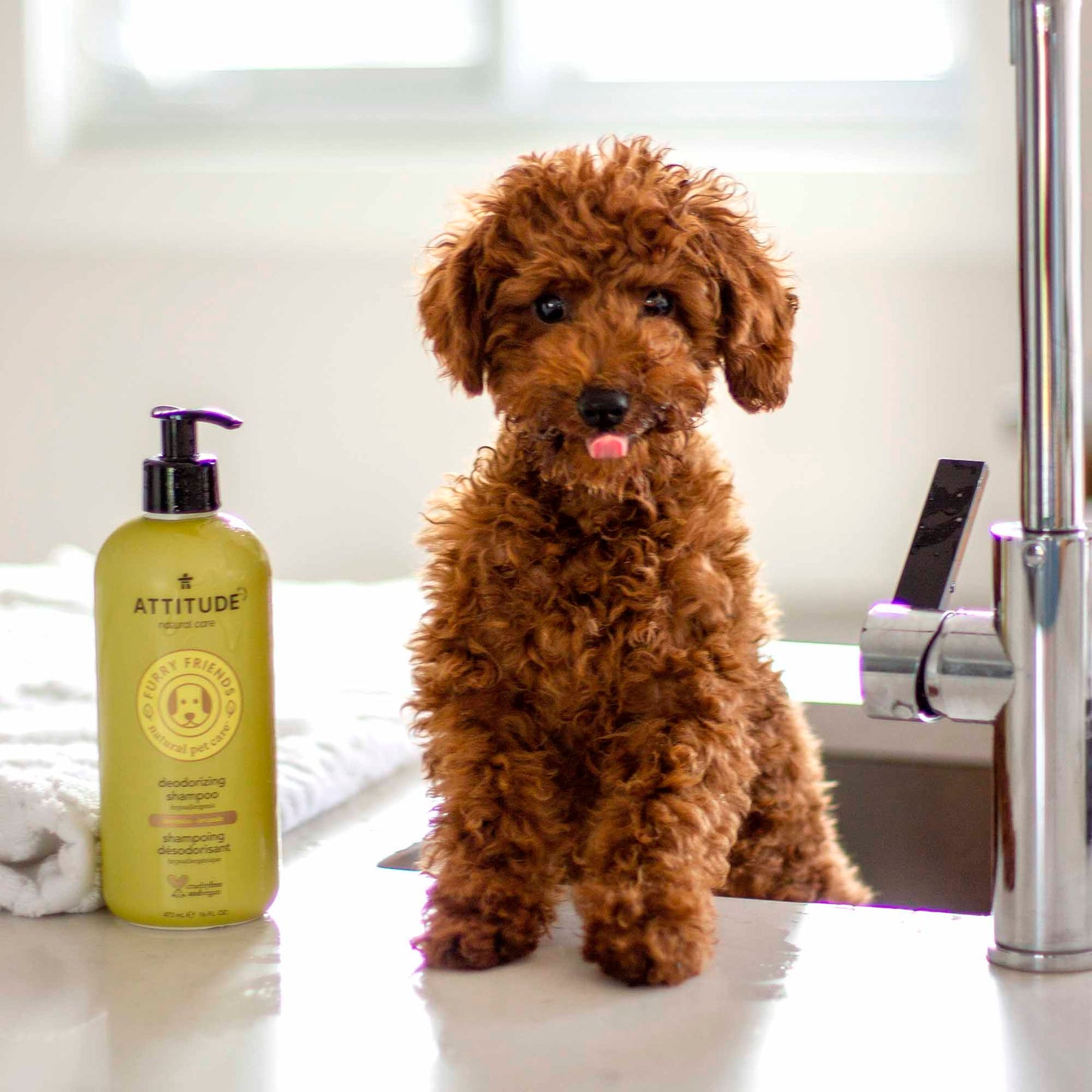 chien avec produits Furry Friends ATTITUDE 81140_fr?_hover?
