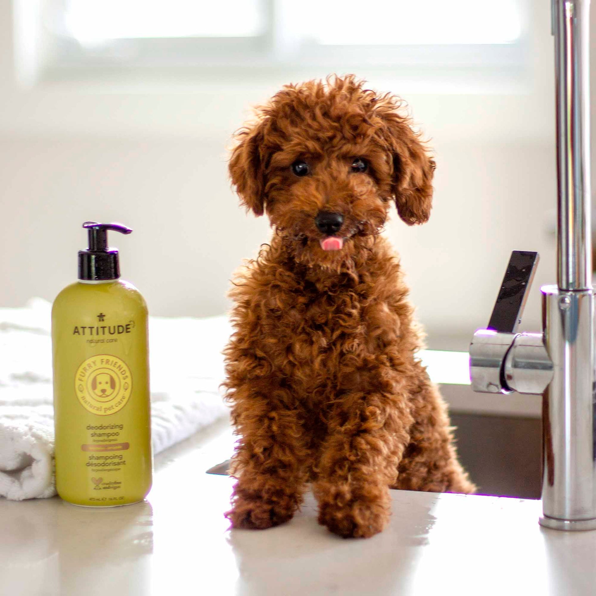 chien avec produits Furry Friends ATTITUDE 81140_fr?_hover?